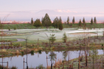 Tsawwassen Springs Web Cam