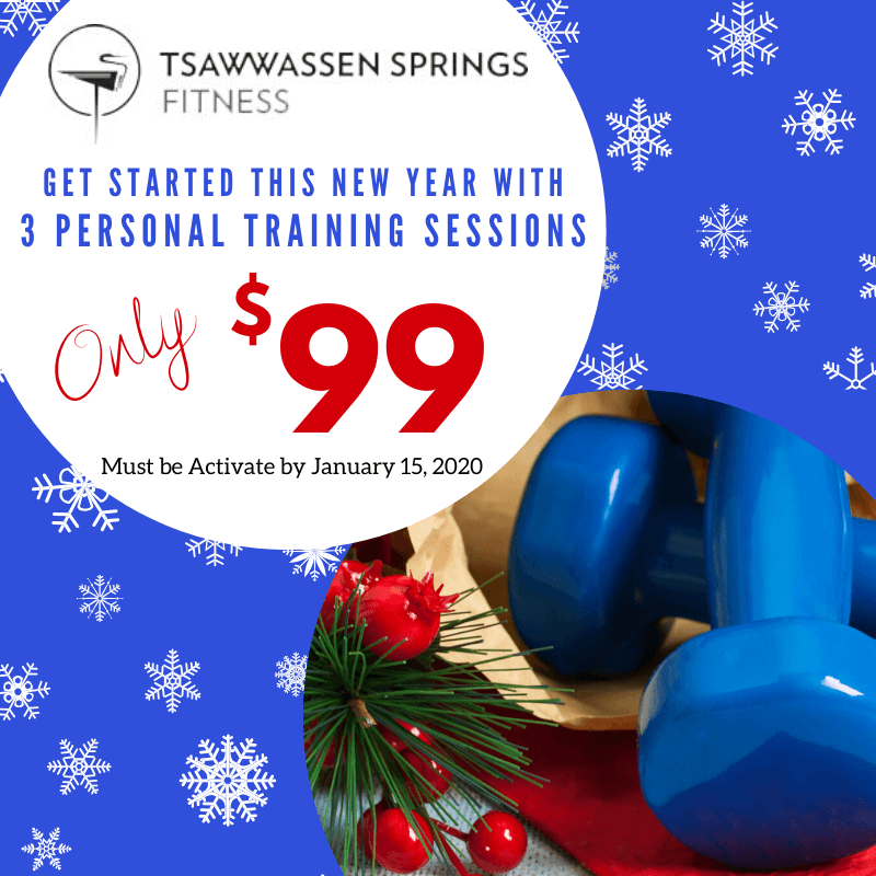 TSW - New Year $99 for 3 PT Email Dark